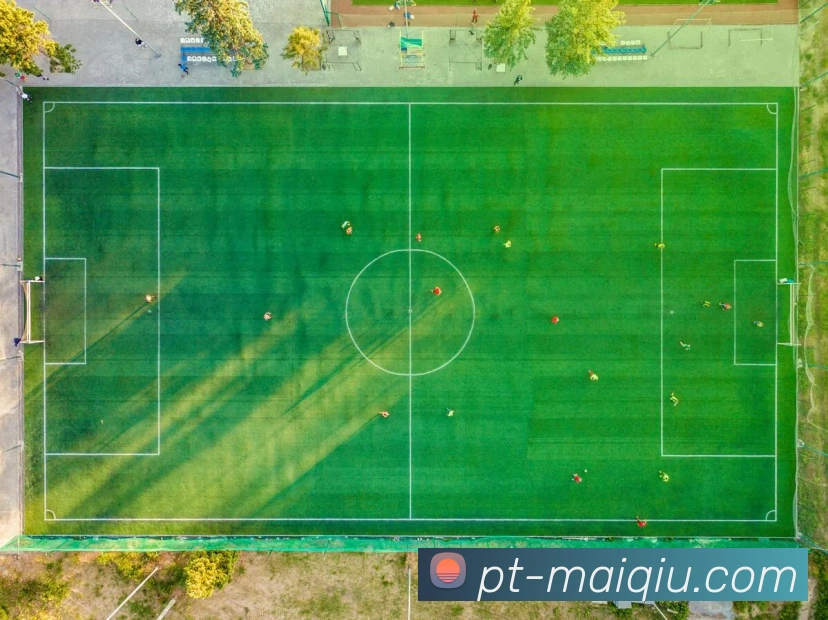 买球平台发展历程