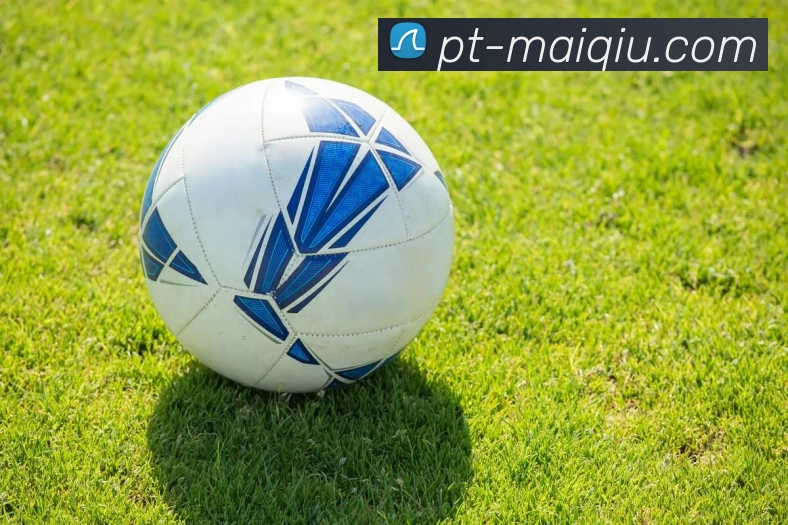 蕉足球：探索新兴运动如何改变年轻人的生活与社交方式